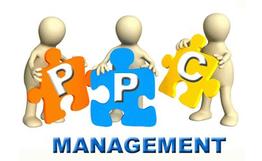 Pay per Click Management